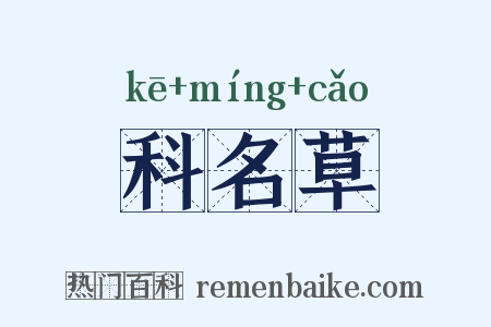 科名草是什么意思的图片
